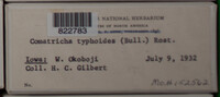 Image Associated With the Occurence